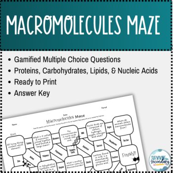 Macromolecules Maze, image 2
