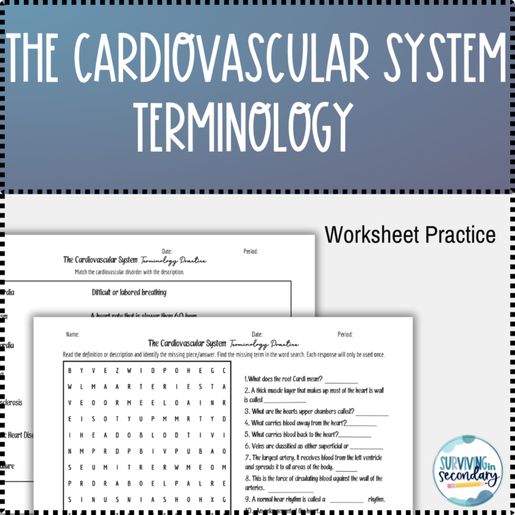 The Cardiovascular System Terminology Practice