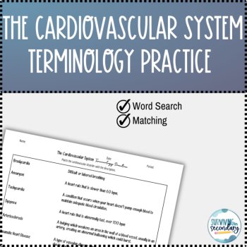 The Cardiovascular System Terminology Practice, image 2