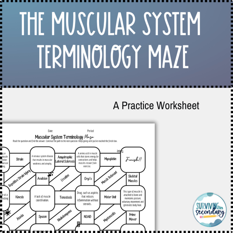 The Muscular System Terminology Maze