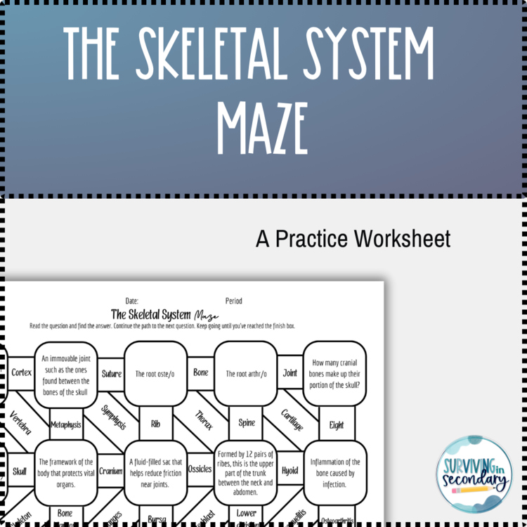 The Skeletal System Medical Terminology Practice
