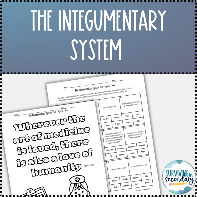The Integumentary System Color By Code Activity