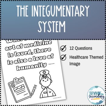 The Integumentary System Color By Code Activity, image 2