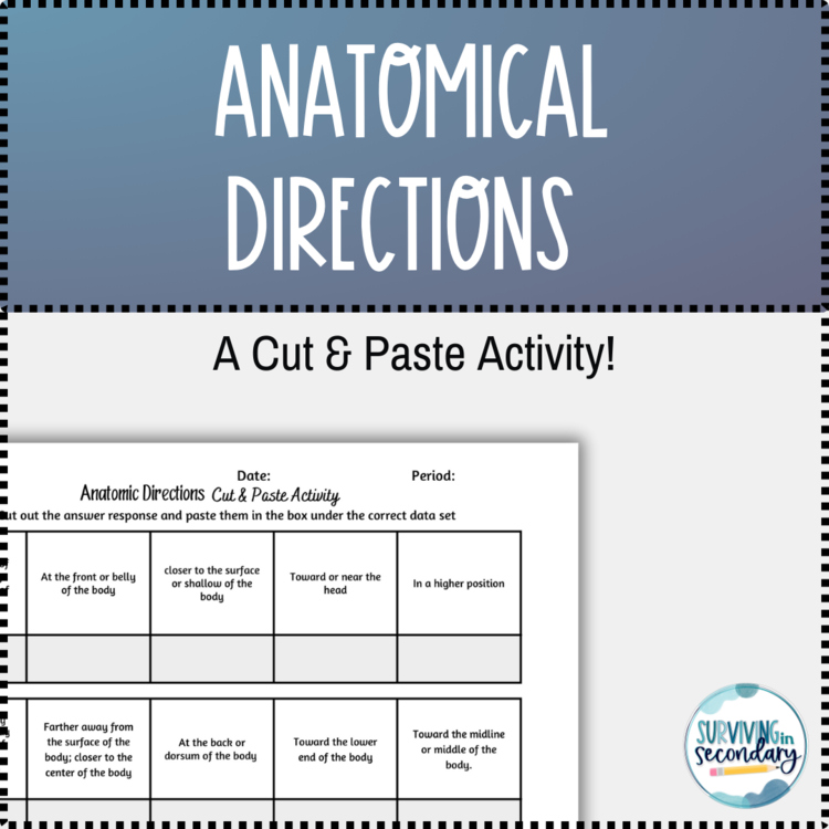 Anatomic Direction Medical Terminology Cut and Paste Activity