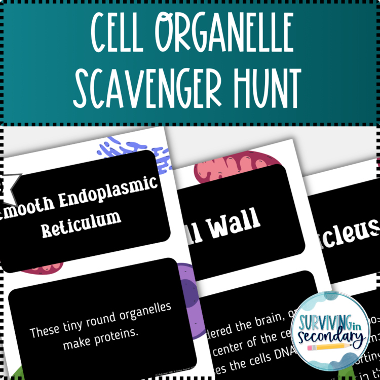 Cell Organelle Scavenger Hunt