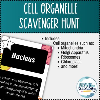 Cell Organelle Scavenger Hunt, image 2
