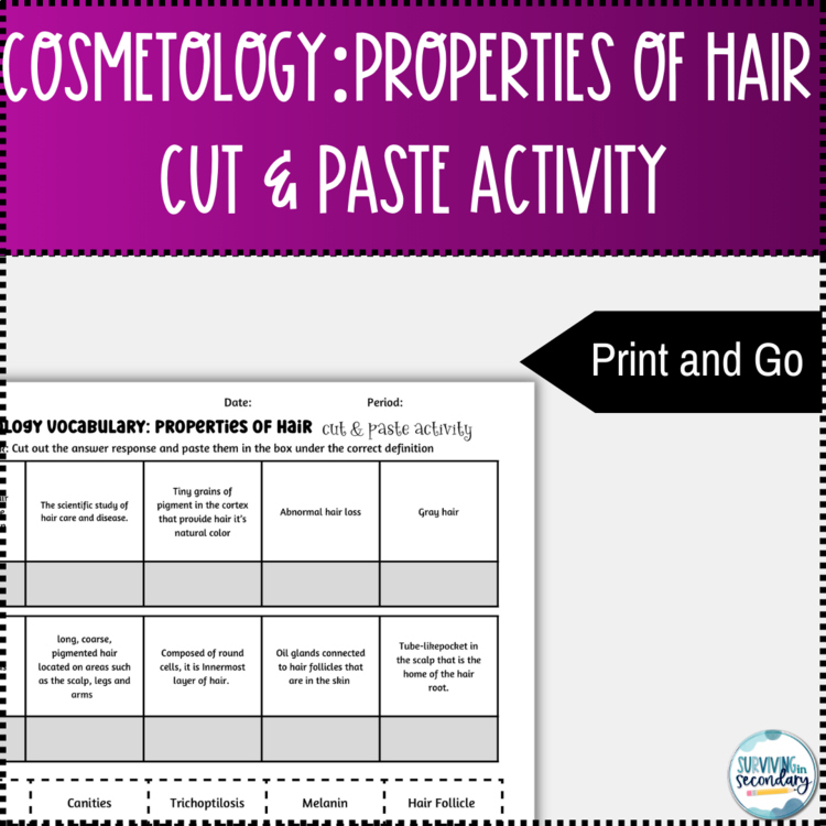 Cosmetology Properties of Hair Vocabulary Activity