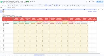 Phonemic Awareness Progress Tracker K–2 | 12 Skills | BOY MOY EOY | Excel, image 2