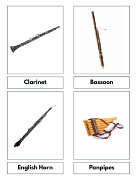 Orchestra Families Shelf Work | Montessori Instrument 3-Part Cards, image 4