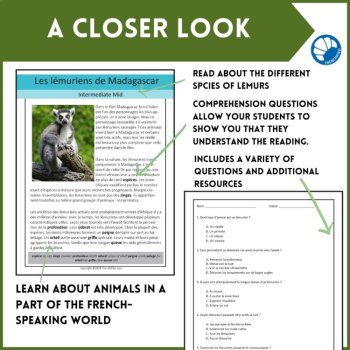 French Reading Comprehension - Lemurs of Madagascar - 3 Differentiated Levels, image 4