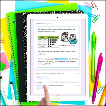 3rd Grade Data & Graphs TEKS Tests - Printable PDF and Digital Google Forms, image 4