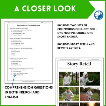 French reading comprehension passé composé & imparfait The Broccoli Haired Boy, image 3