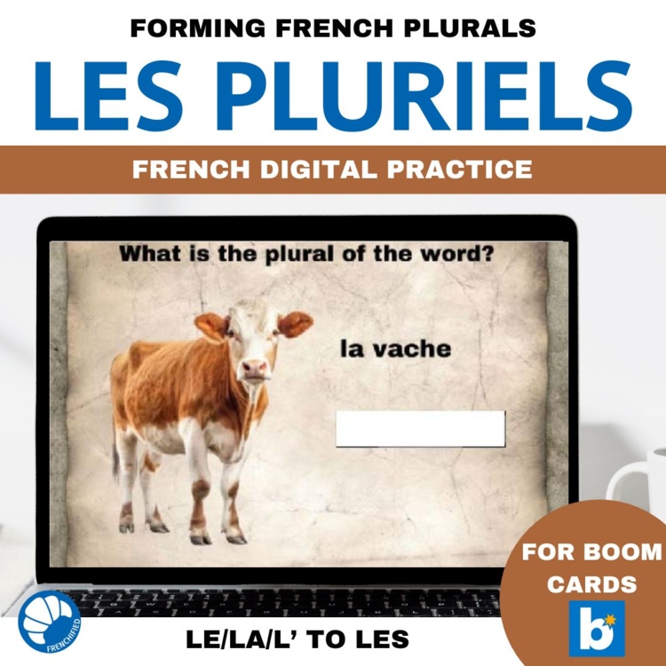 Beginner French Grammar Boom Cards | Singular to Plural Articles Practice