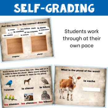 Beginner French Grammar Boom Cards | Singular to Plural Articles Practice, image 4