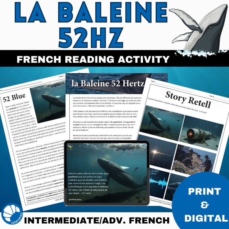 Loneliest Whale Reading Comprehension | Intermediate French Short Story