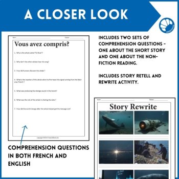 Loneliest Whale Reading Comprehension | Intermediate French Short Story, image 4