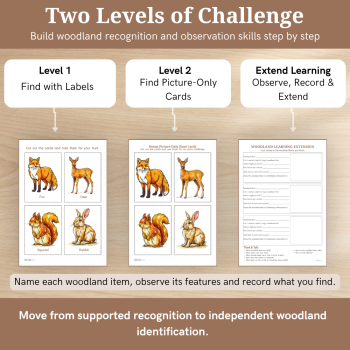 Woodland Scavenger Hunt – 48 Printable Cards & Nature Activities, image 3