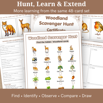 Woodland Scavenger Hunt – 48 Printable Cards & Nature Activities, image 4