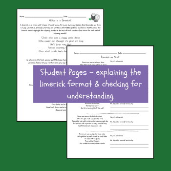 Limerick Writing Lesson | Poetry | March & St. Patrick's Day | Grades 3, 4, 5, image 3