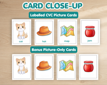 CVC Scavenger Hunt Printable | CVC Word Cards and Checklist, image 3