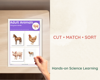Animal Babies Sorting Activity | Baby Animal Matching Game | Preschool Science P, image 3