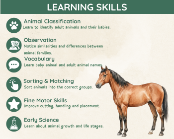 Animal Babies Sorting Activity | Baby Animal Matching Game | Preschool Science P, image 4