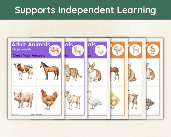 Animal Babies Sorting Activity | Baby Animal Matching Game | Preschool Science P, image 5