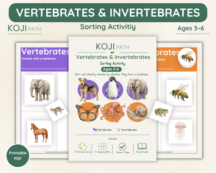 Vertebrates and Invertebrates Sorting Activity | Science Cards