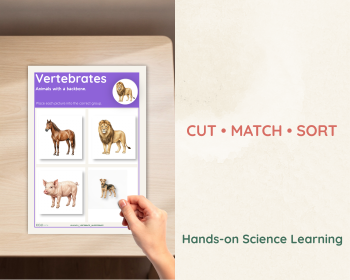 Vertebrates and Invertebrates Sorting Activity | Science Cards, image 3