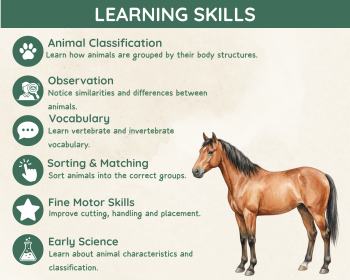 Vertebrates and Invertebrates Sorting Activity | Science Cards, image 4