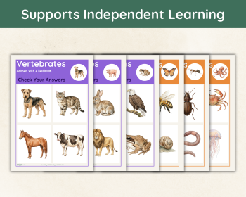 Vertebrates and Invertebrates Sorting Activity | Science Cards, image 5