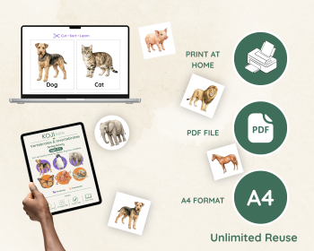 Vertebrates and Invertebrates Sorting Activity | Science Cards, image 6