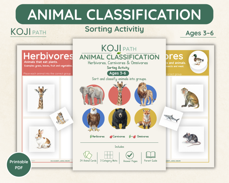 Herbivore Carnivore Omnivore Sorting Activity | Animal Diets
