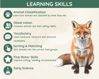 Herbivore Carnivore Omnivore Sorting Activity | Animal Diets, image 4