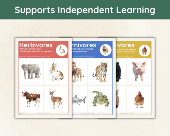 Herbivore Carnivore Omnivore Sorting Activity | Animal Diets, image 5