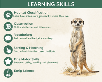 Animal Habitats Sorting Activity | Habitat Picture Cards, image 4