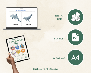 Animal Habitats Sorting Activity | Habitat Picture Cards, image 6