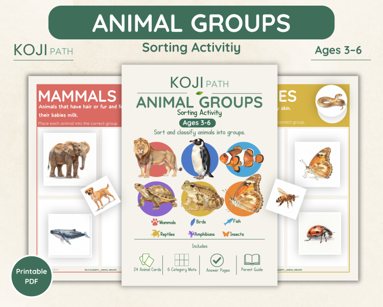 Animal Groups Sorting Activity | Animal Classification Cards