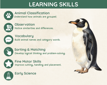Animal Groups Sorting Activity | Animal Classification Cards, image 4