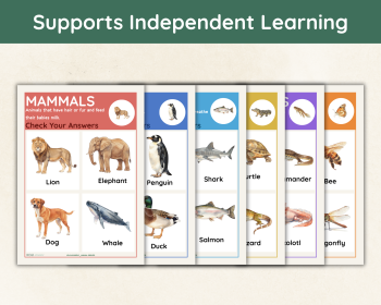 Animal Groups Sorting Activity | Animal Classification Cards, image 5