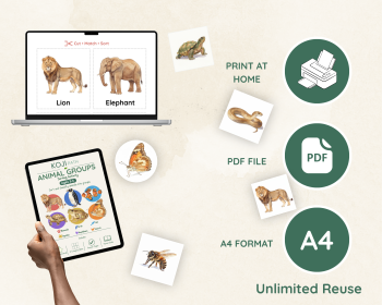 Animal Groups Sorting Activity | Animal Classification Cards, image 6