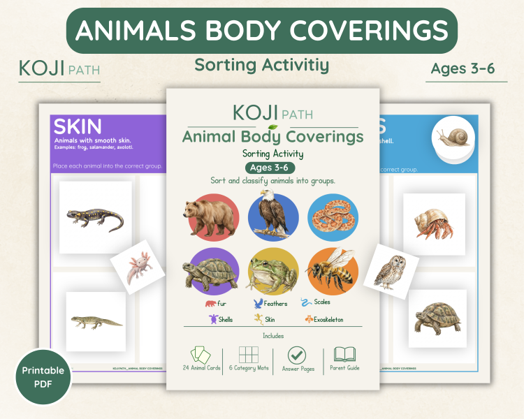 Animal Coverings Sorting Activity | Fur, Feathers, Scales and Skin