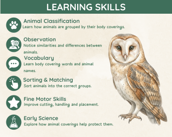 Animal Coverings Sorting Activity | Fur, Feathers, Scales and Skin, image 4