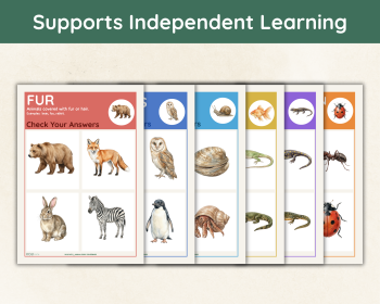 Animal Coverings Sorting Activity | Fur, Feathers, Scales and Skin, image 5