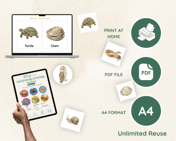 Animal Coverings Sorting Activity | Fur, Feathers, Scales and Skin, image 6