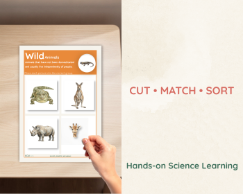 Domestic and Wild Animals Sorting Activity | Animal Science Cards, image 3