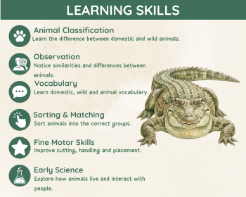 Domestic and Wild Animals Sorting Activity | Animal Science Cards, image 4