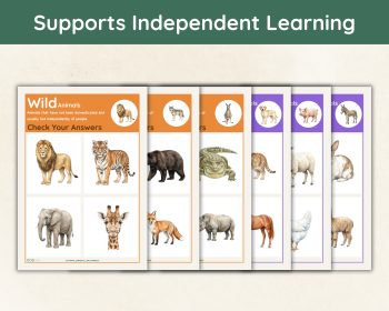 Domestic and Wild Animals Sorting Activity | Animal Science Cards, image 5