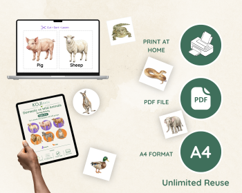 Domestic and Wild Animals Sorting Activity | Animal Science Cards, image 6